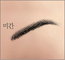 캰)